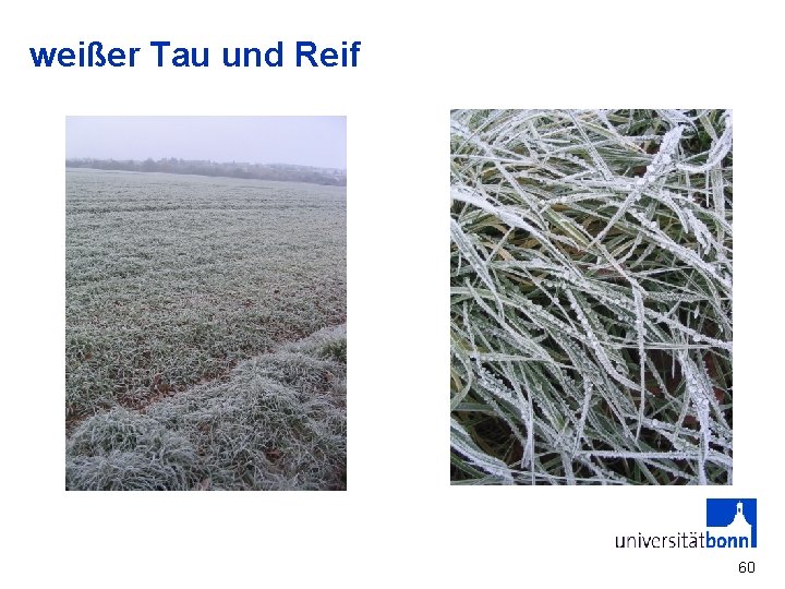 weißer Tau und Reif 60 