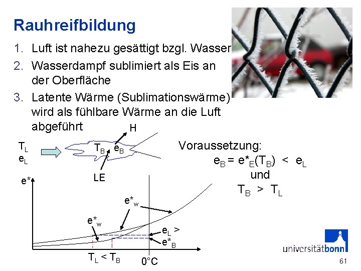 Rauhreifbildung 1. Luft ist nahezu gesättigt bzgl. Wasser 2. Wasserdampf sublimiert als Eis an