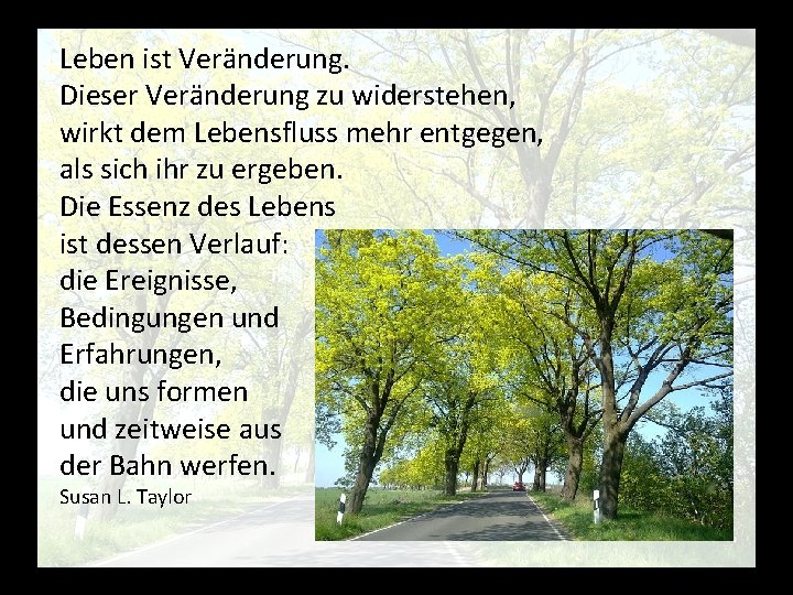 Leben ist Veränderung. Dieser Veränderung zu widerstehen, wirkt dem Lebensfluss mehr entgegen, als sich