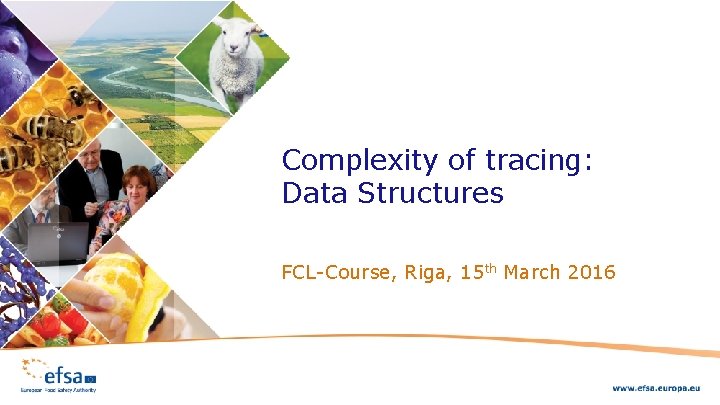 Complexity of tracing: Data Structures FCL-Course, Riga, 15 th March 2016 