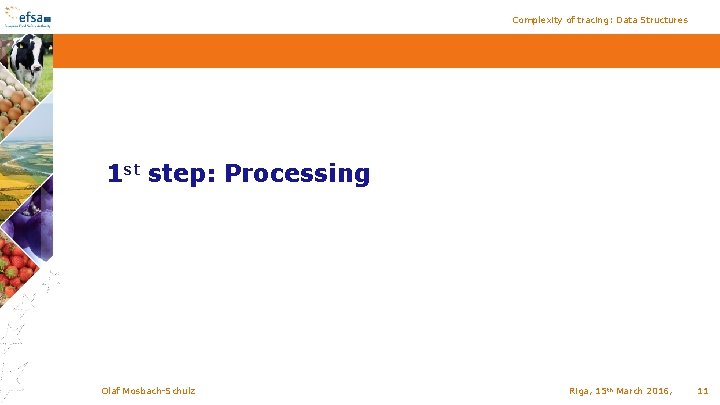 Complexity of tracing: Data Structures 1 st step: Processing Olaf Mosbach-Schulz Riga, 15 th