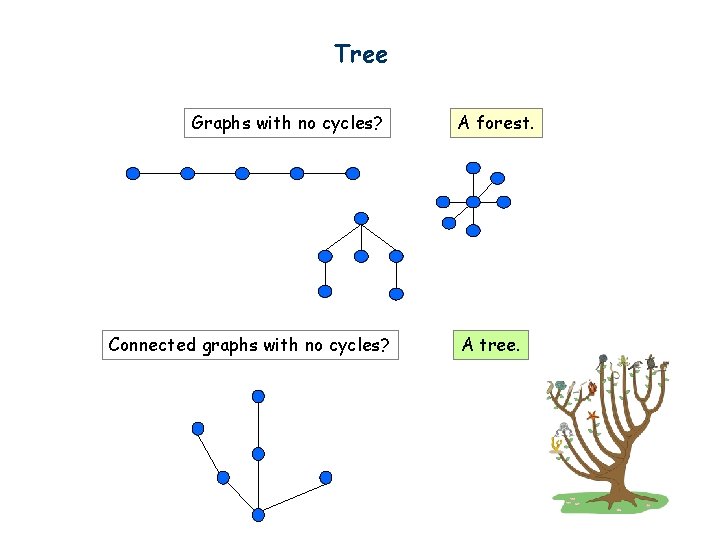 Tree Graphs with no cycles? Connected graphs with no cycles? A forest. A tree.