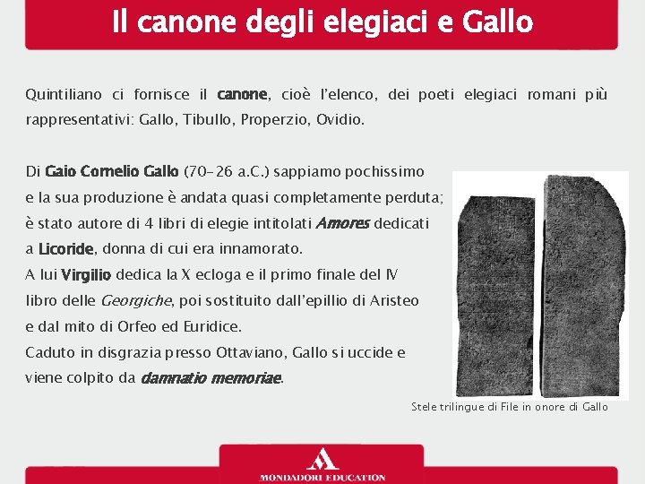 Il canone degli elegiaci e Gallo Quintiliano ci fornisce il canone, cioè l’elenco, dei