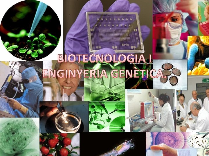 BIOTECNOLOGIA I ENGINYERIA GENÈTICA. 