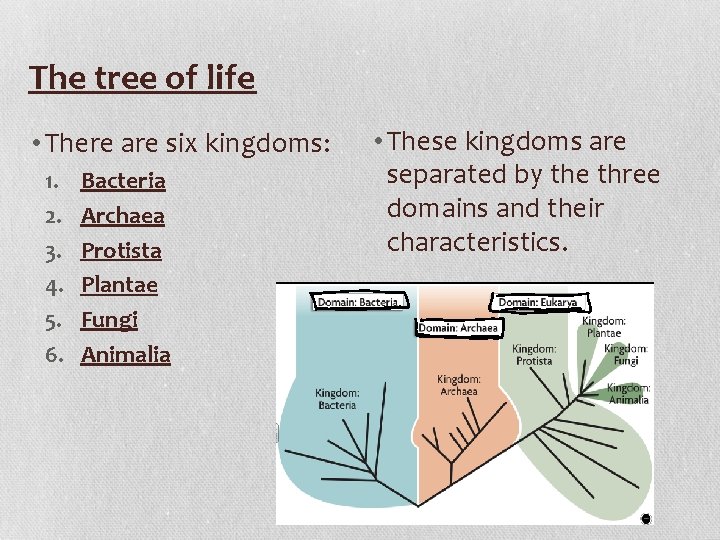 The tree of life • There are six kingdoms: 1. 2. 3. 4. 5.