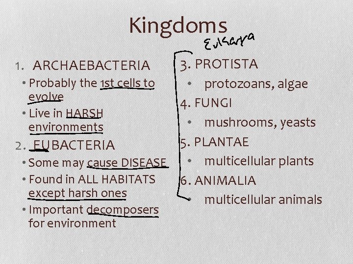 Kingdoms 1. ARCHAEBACTERIA • Probably the 1 st cells to evolve • Live in