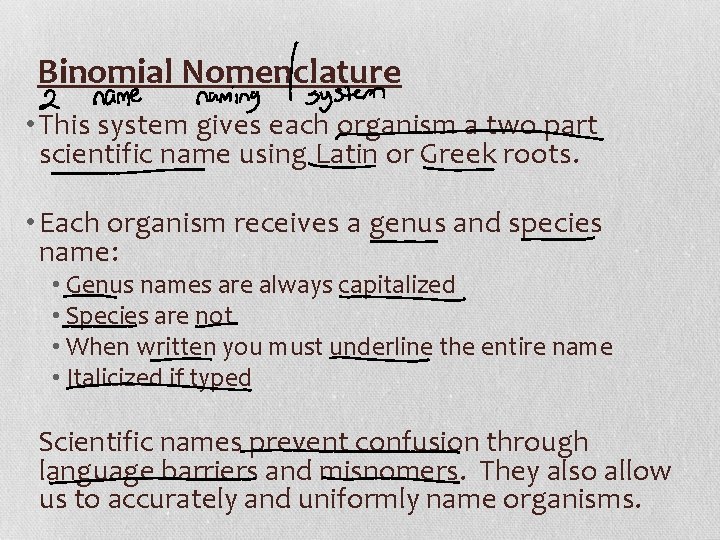 Binomial Nomenclature • This system gives each organism a two part scientific name using