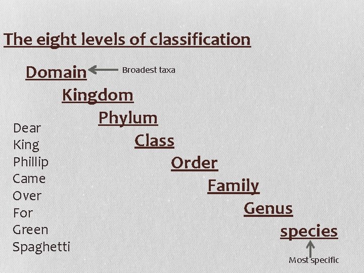 The eight levels of classification Broadest taxa Domain Kingdom Phylum Dear Class King Phillip