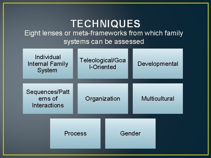 TECHNIQUES Eight lenses or meta-frameworks from which family systems can be assessed Individual Internal