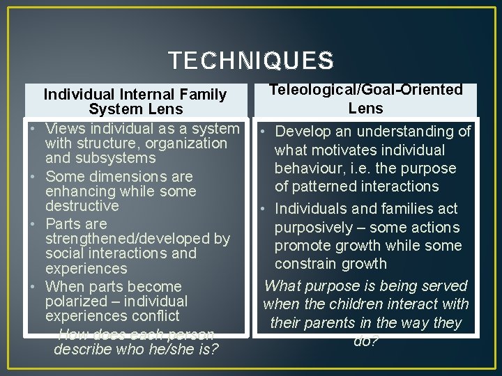 TECHNIQUES • • Individual Internal Family System Lens Views individual as a system with
