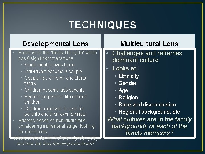 TECHNIQUES Developmental Lens • Focus is on the “family life cycle” which has 6