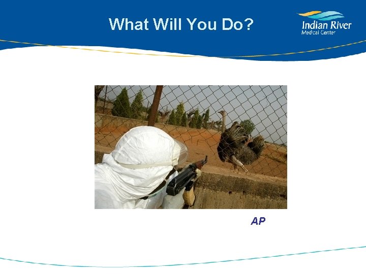 What Will You Do? AP 