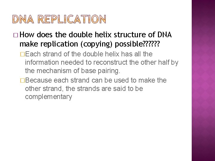 � How does the double helix structure of DNA make replication (copying) possible? ?