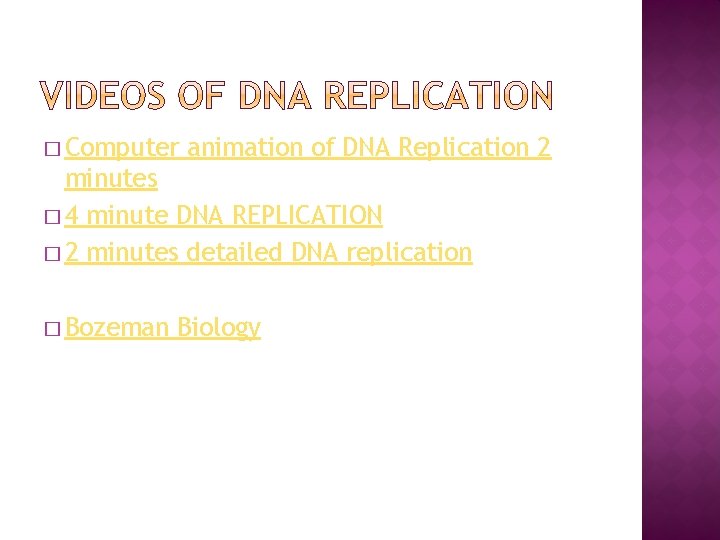 � Computer animation of DNA Replication 2 minutes � 4 minute DNA REPLICATION �