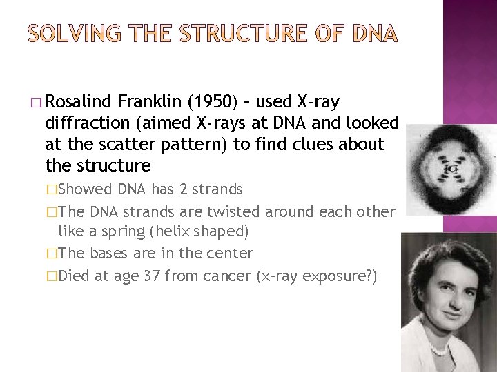 � Rosalind Franklin (1950) – used X-ray diffraction (aimed X-rays at DNA and looked