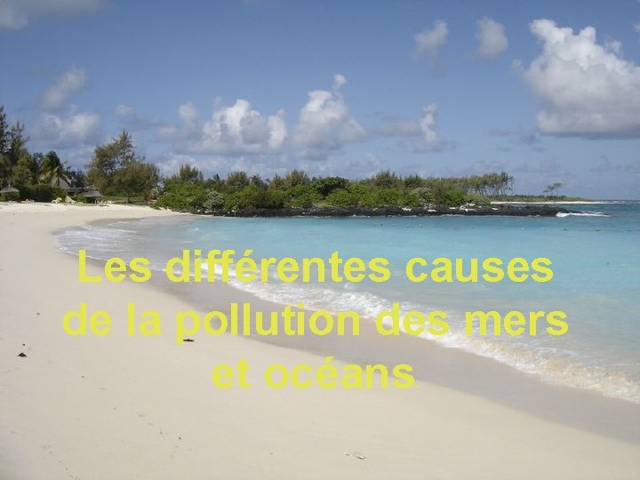 Les diffrentes causes de la pollution des mers
