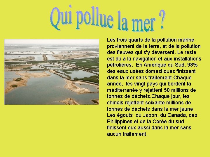 Les diffrentes causes de la pollution des mers