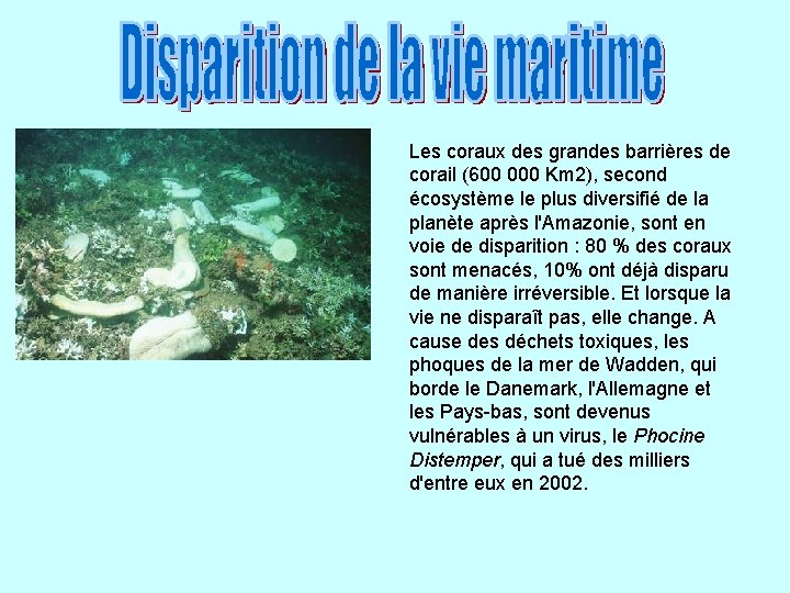 Les diffrentes causes de la pollution des mers