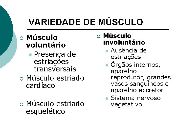 VARIEDADE DE MÚSCULO ¡ ¡ ¡ Músculo voluntário l Presença de estriações transversais Músculo