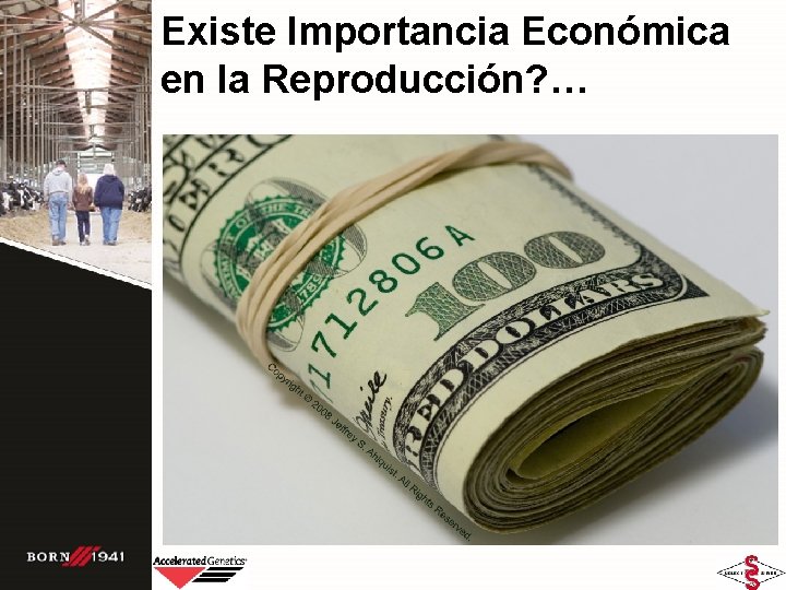 Existe Importancia Económica en la Reproducción? … • La Reproducción es el motor de