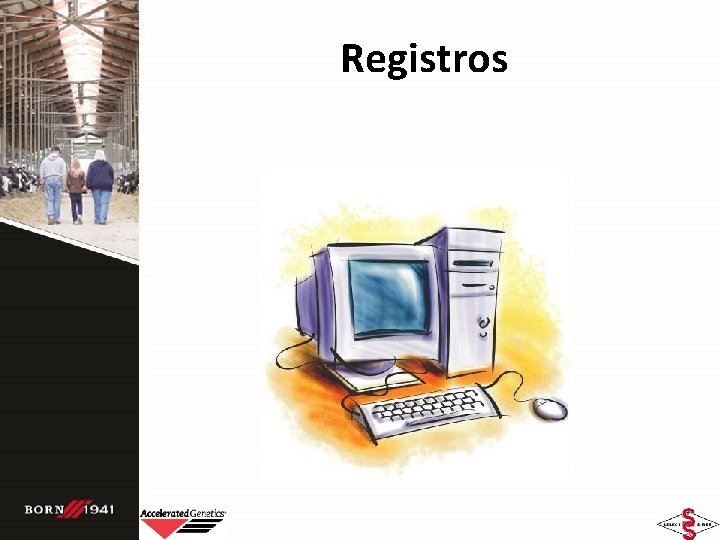 Registros 