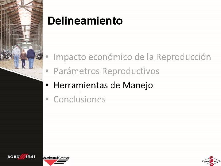 Delineamiento • • Impacto económico de la Reproducción Parámetros Reproductivos Herramientas de Manejo Conclusiones