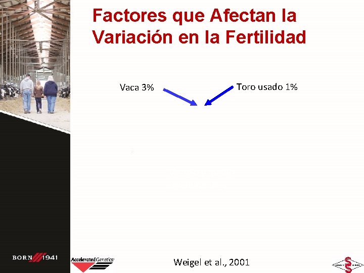 Factores que Afectan la Variación en la Fertilidad Toro usado 1% Vaca 3% Manejo