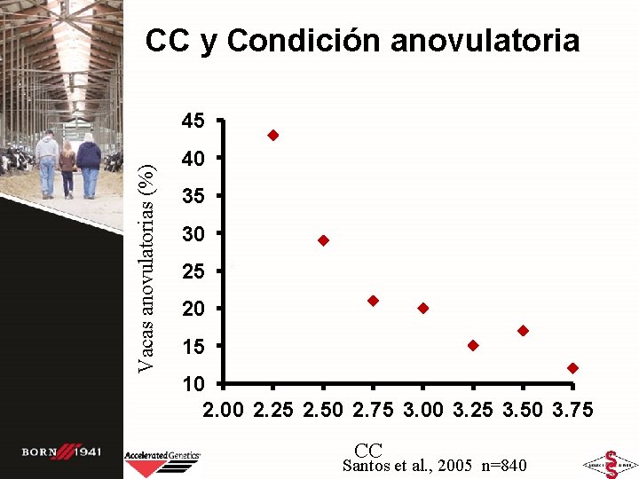 CC y Condición anovulatoria Vacas anovulatorias (%) 45 40 35 30 25 20 15