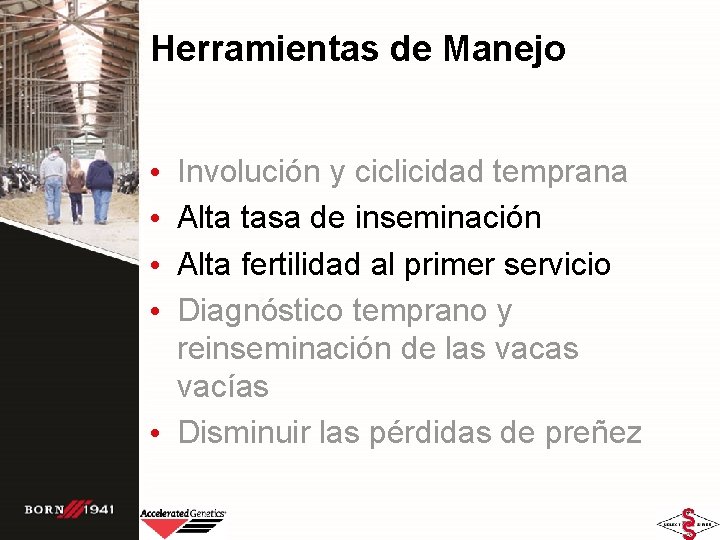 Herramientas de Manejo Involución y ciclicidad temprana Alta tasa de inseminación Alta fertilidad al