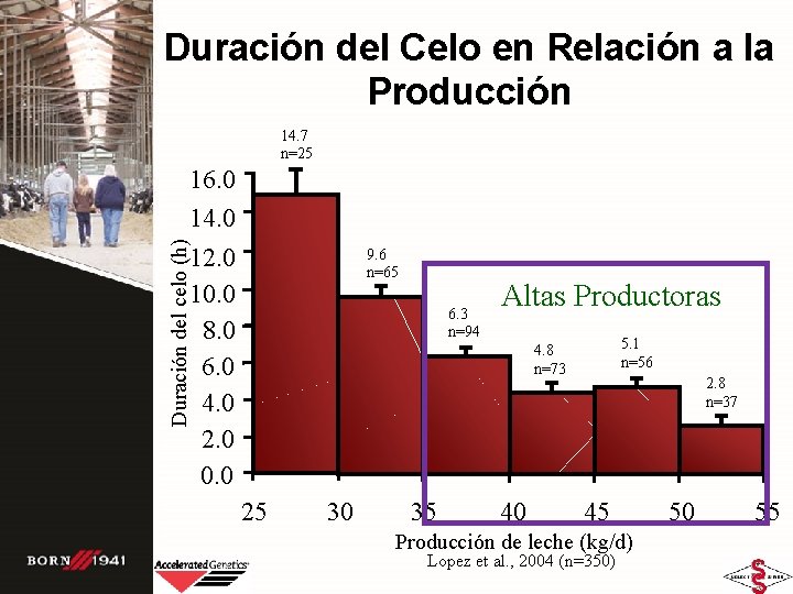 Duración del Celo en Relación a la Producción 14. 7 n=25 Duración del celo