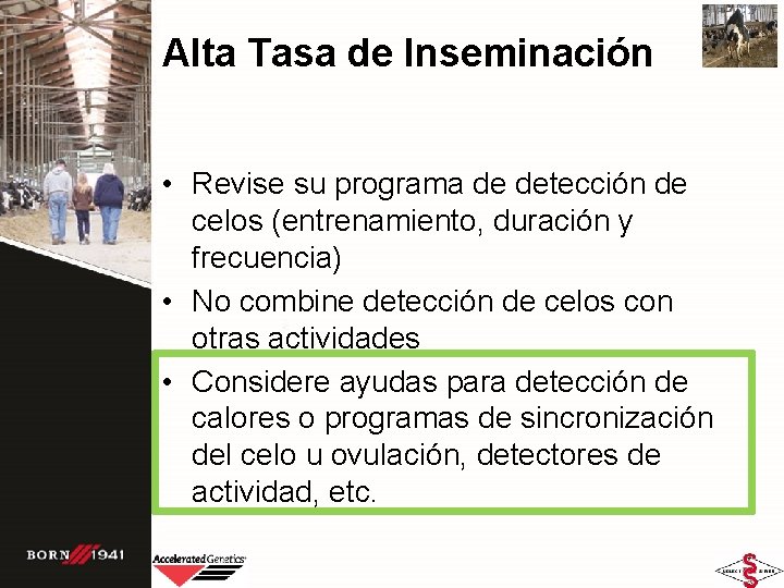 Alta Tasa de Inseminación • Revise su programa de detección de celos (entrenamiento, duración