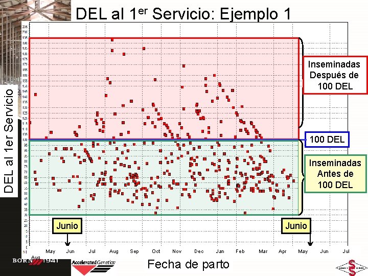 DEL al 1 er Servicio: Ejemplo 1 DEL al 1 er Servicio Inseminadas Después DEL al 1 er Servicio: Ejemplo 1 DEL al 1 er Servicio Inseminadas Después