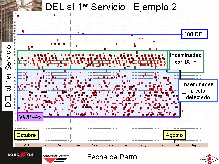 DEL al 1 er Servicio: Ejemplo 2 DEL al 1 er Servicio 100 DEL DEL al 1 er Servicio: Ejemplo 2 DEL al 1 er Servicio 100 DEL