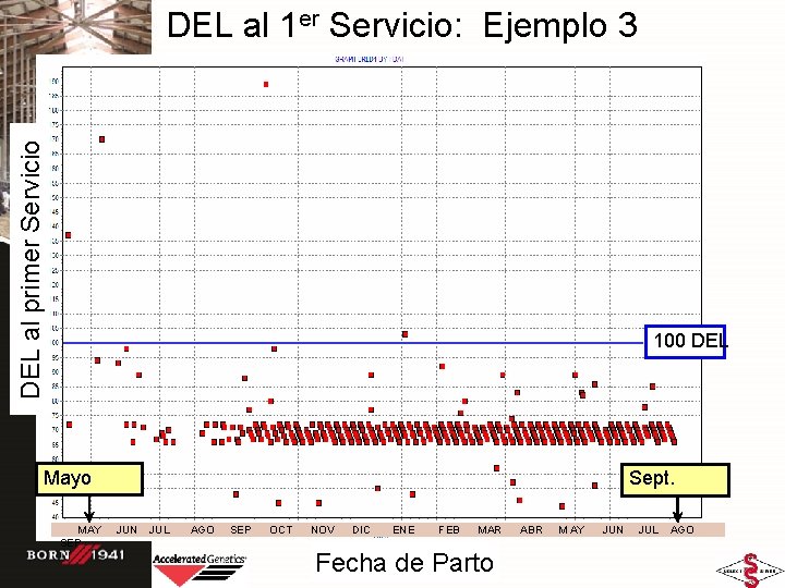 DEL al primer Servicio DEL al 1 er Servicio: Ejemplo 3 100 DEL Mayo