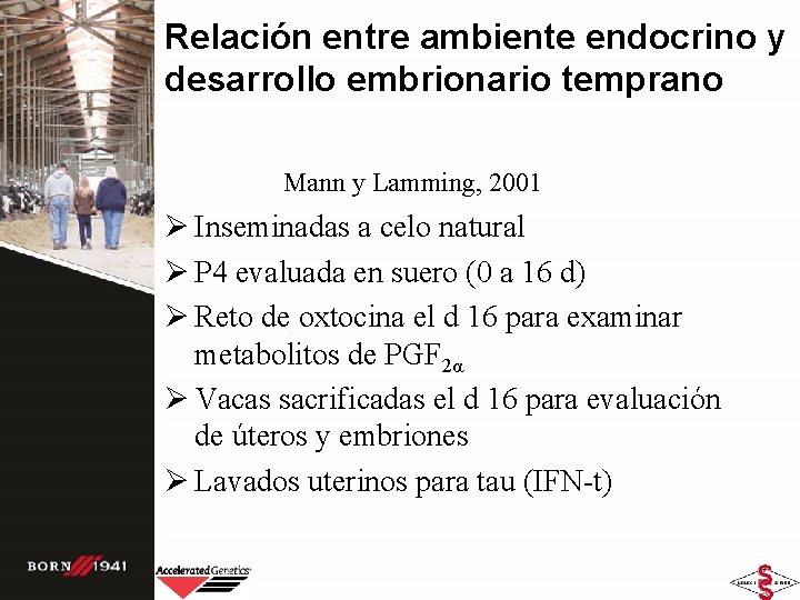 Relación entre ambiente endocrino y desarrollo embrionario temprano Mann y Lamming, 2001 Ø Inseminadas