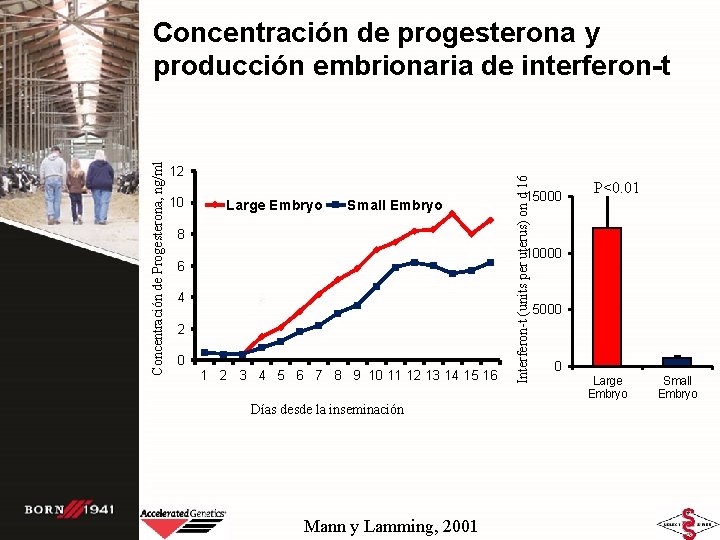 12 10 Large Embryo Small Embryo 8 Interferon-t (units per uterus) on d 16