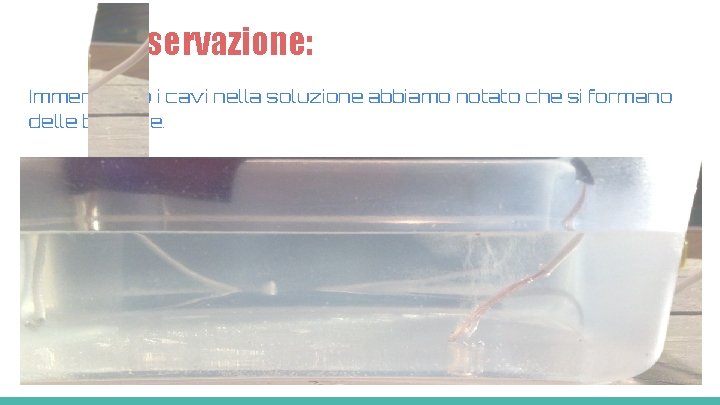 Osservazione: Immergendo i cavi nella soluzione abbiamo notato che si formano delle bollicine. 
