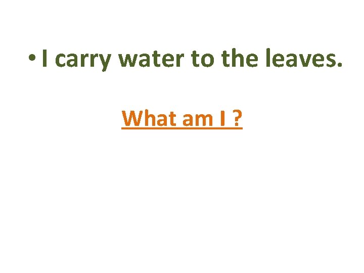  • I carry water to the leaves. What am I ? 