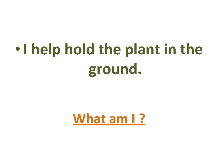  • I help hold the plant in the ground. What am I ?