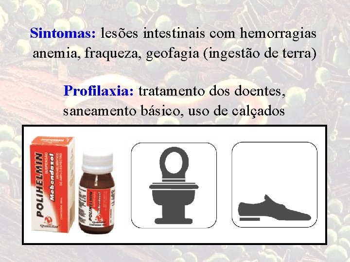 Sintomas: lesões intestinais com hemorragias anemia, fraqueza, geofagia (ingestão de terra) Profilaxia: tratamento dos