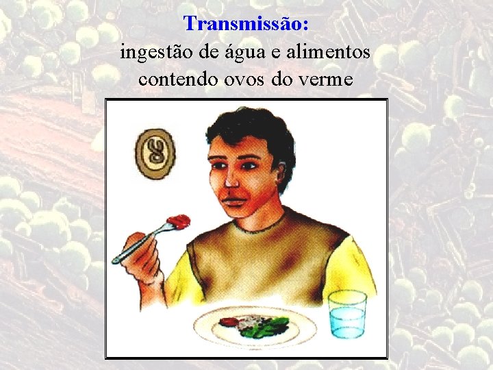 Transmissão: ingestão de água e alimentos contendo ovos do verme 