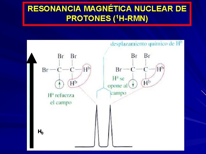 RESONANCIA MAGNÉTICA NUCLEAR DE PROTONES (1 H-RMN) H 0 