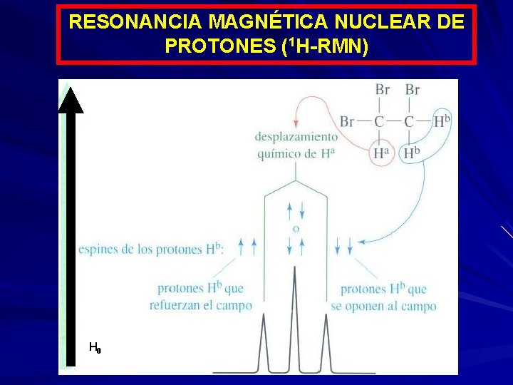 RESONANCIA MAGNÉTICA NUCLEAR DE PROTONES (1 H-RMN) H 0 