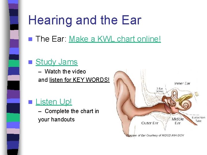 Hearing and the Ear n The Ear: Make a KWL chart online! n Study