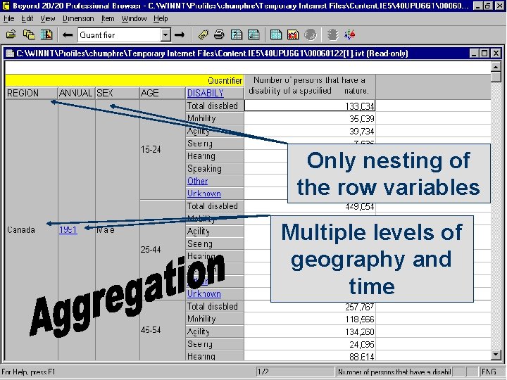 Only nesting of the row variables Multiple levels of geography and time 