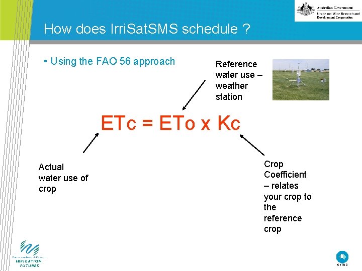 How does Irri. Sat. SMS schedule ? • Using the FAO 56 approach Reference