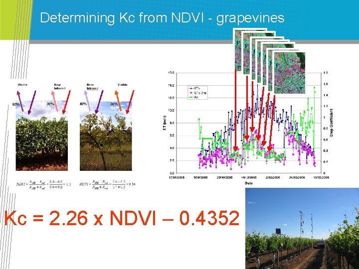 Determining Kc from NDVI - grapevines Kc = 2. 26 x NDVI – 0.