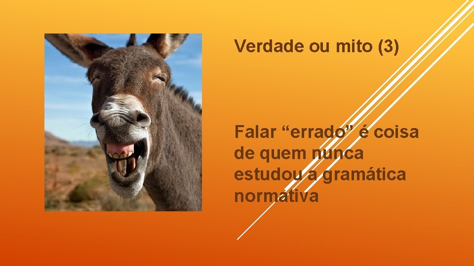 Verdade ou mito (3) Falar “errado” é coisa de quem nunca estudou a gramática