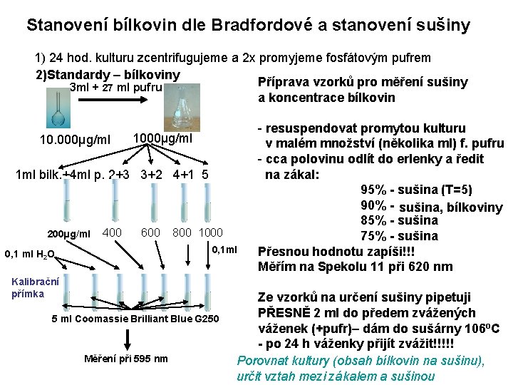 Stanovení bílkovin dle Bradfordové a stanovení sušiny 1) 24 hod. kulturu zcentrifugujeme a 2