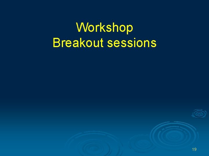 Workshop Breakout sessions 19 